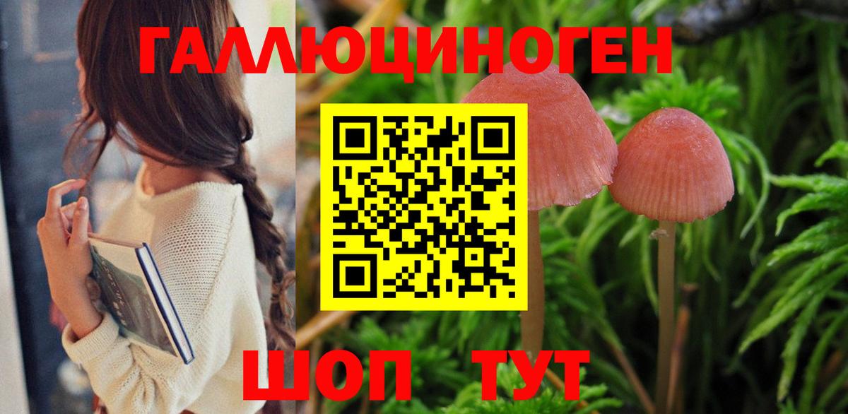 Галлюциногенные грибы Psilocybe  Вход с VPN  Волхов  Псилоцибиновые грибы Psilocybe 