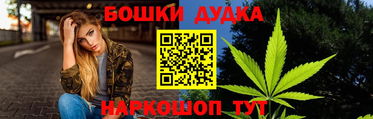 Канабис сатива Волхов